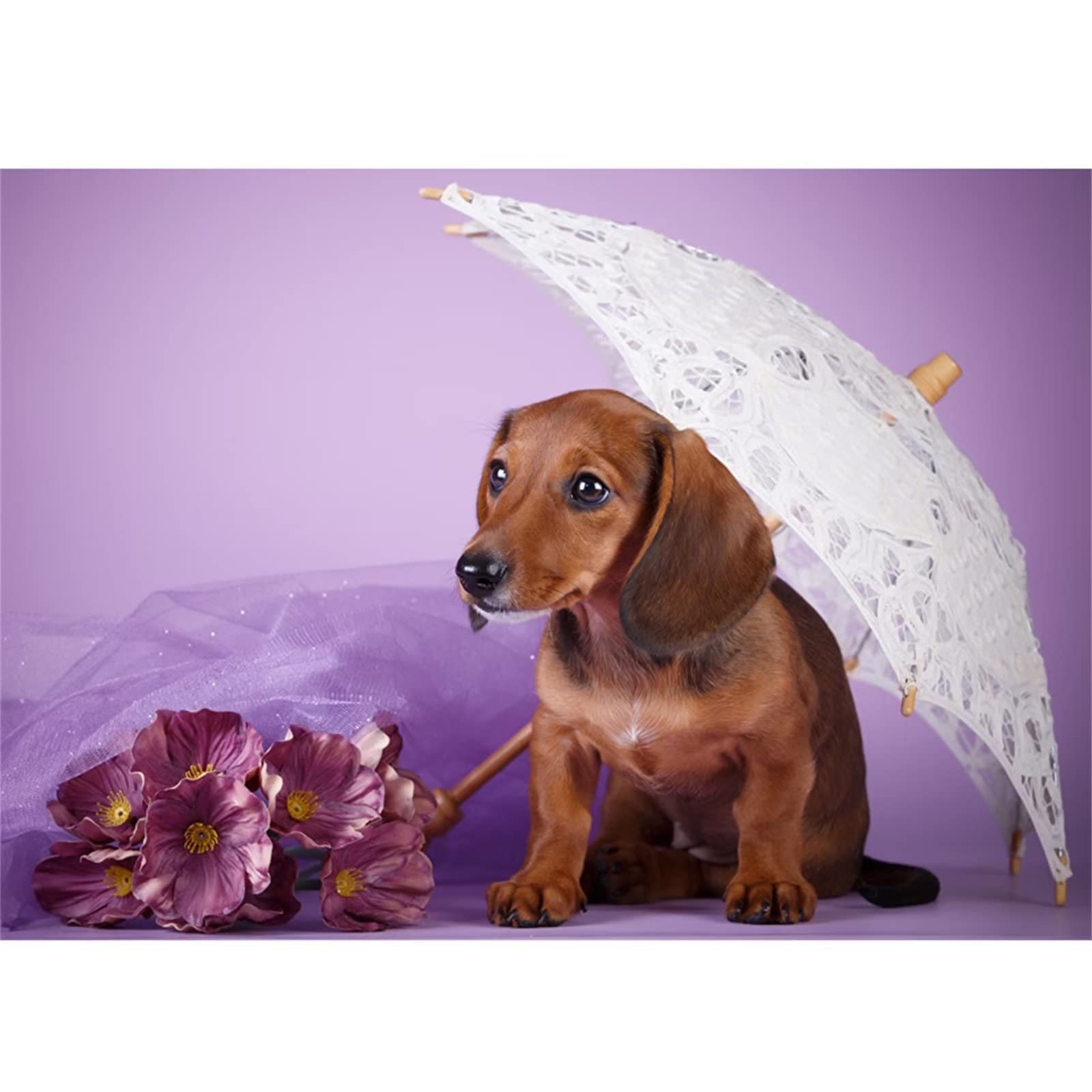 CHOSIGHT 5D Kit De Broderie Diamant Eléphant - DIY Peinture Complète