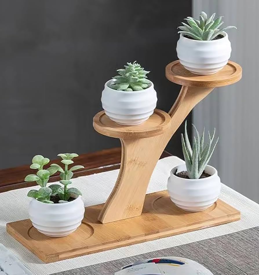 Amazon.co.jp: デスクトップ フラワースタンド,竹製多肉植物 スタンド