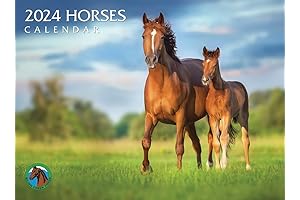 2024 Horses Wall Calendar | Stunning Equine Photography