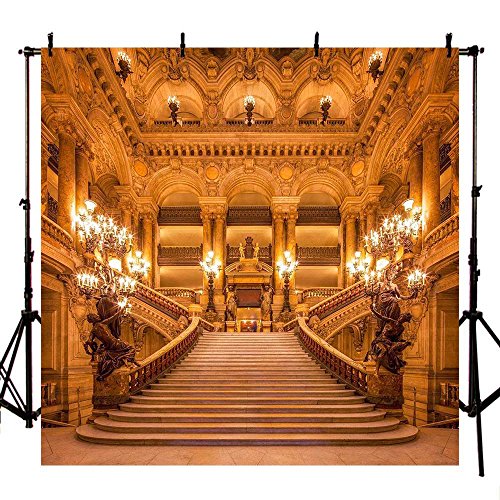 COMOPHOTO 10x10ft Polyester Photography Backdrops Beauty and The Beast Theme Party Photo Background