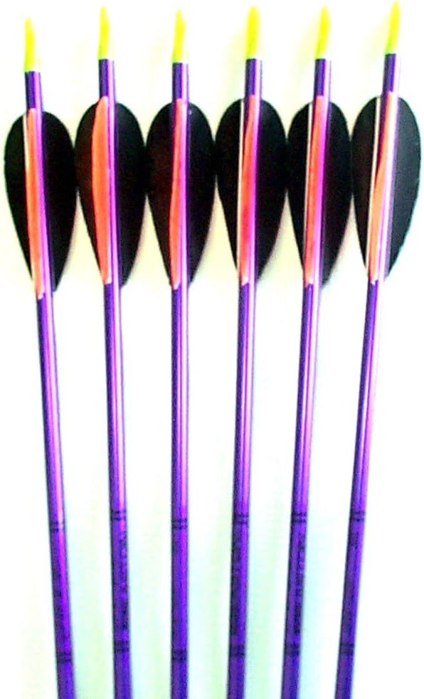 Feather Fletched Easton XX75 Jazz Aluminum Arrows 6-Pack