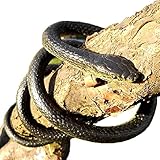 Paialco Realistic Spooky Green Toy Snake