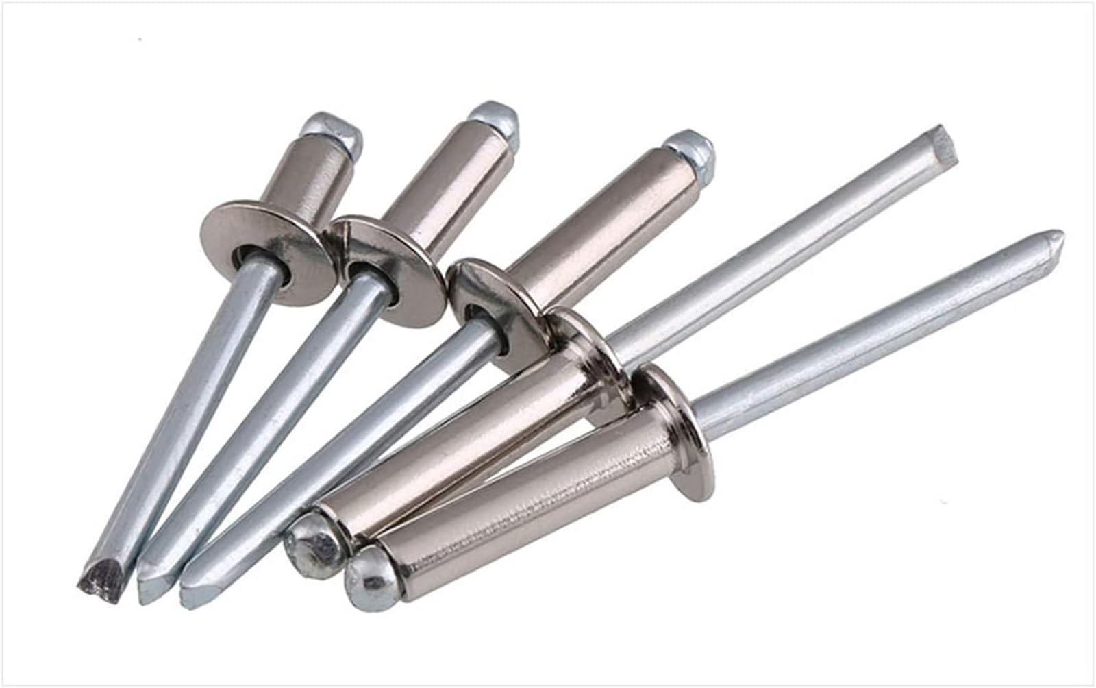 Rivetti di fissaggio Nutsert, viti bulloni, rivetto rivetto aperto in acciaio inossidabile 304, testa rotonda, rivetto pop, chiodo decorativo, rivetto cavo m5 20 pezzi / 50 pezzi (50 pezzi, lunghezza