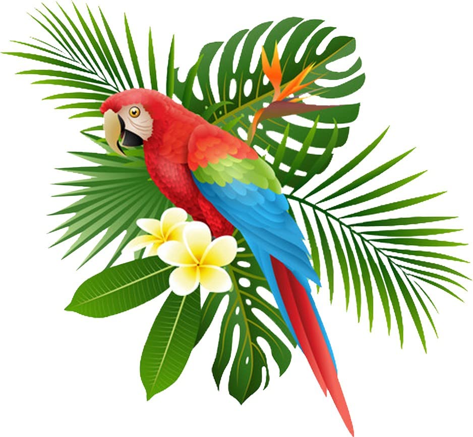 Rangoli Vinyl Wall Sticker 1.96x20.86x1.96 inches, Multicolour (Model Number: Modern Art306) (B081QD1L9Q) Amazon Price History, Amazon Price Tracker