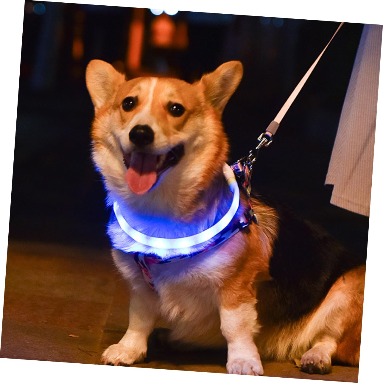 Toddmomy 2juegos Collar Led USB Recargable para Collar Luminoso De Visibilidad Nocturna para Material Resistente y Cómodo