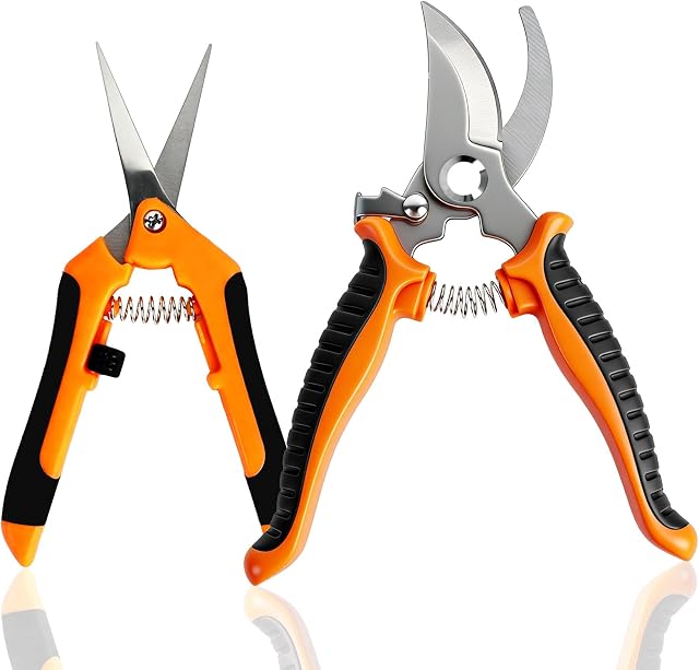 Garden Pruning Shears, Small Plant Scissors, 2 Piece Hand Tool Set, Pruner for Tree Branch, Trimming Snips, Heavy Duty Cutter, Yard Work Gifts