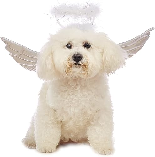 Miniatura 4 de Disfraz de Halloween para perro, alas de ángel para mascotas, disfraces de Halloween para gatos, alas de perrito con accesorios de halo de ángel (L)