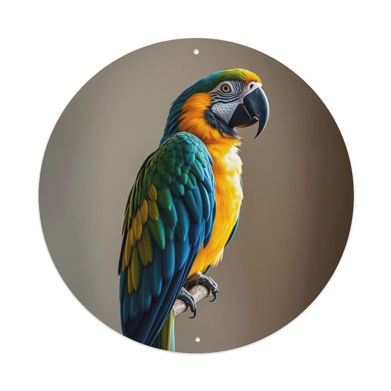 Cwbufd Vintage Style Animal Ara Ararauna Elegant Tropical Bird Closeup Portrait Vintage Metal Tin Sign Plaque Wall Decor For Cafe, Club Bar, Office, Garden Metal Poster 8X8inch