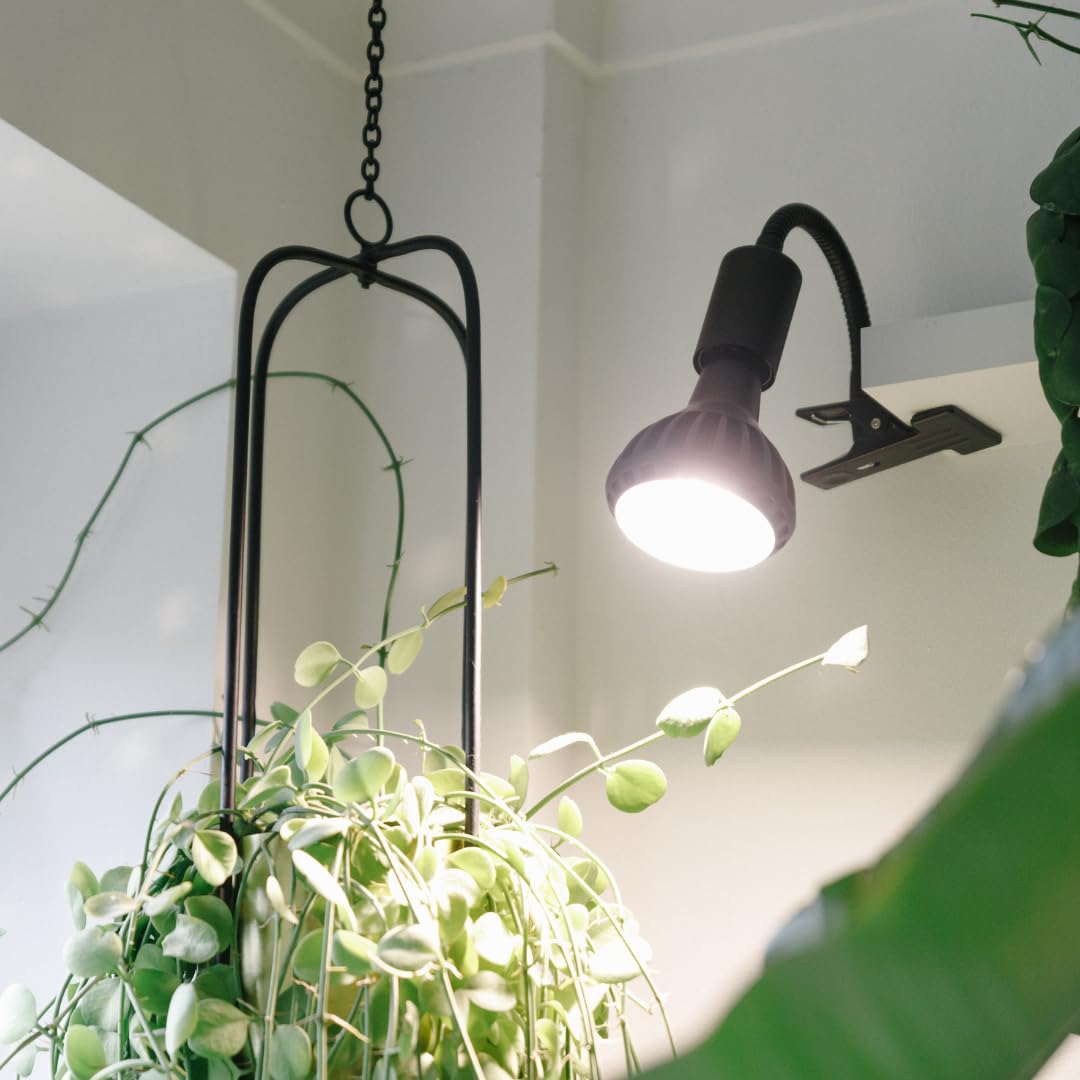 Pianta 18W Vollspektrum LED Pflanzenlampe für Zimmerpflanzen – Wachstumslampe für Sukkulenten, Kräuter & Kakteen, Keimung von Sämlingen, E27, PPF μmol/s 33,1 (Schwarz, E27)