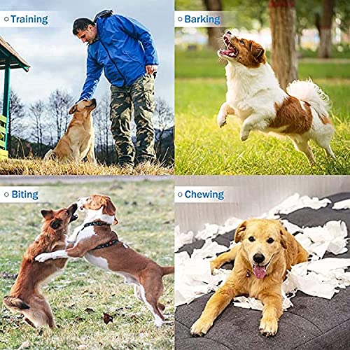 Using Ultrasonic Dog Trainer