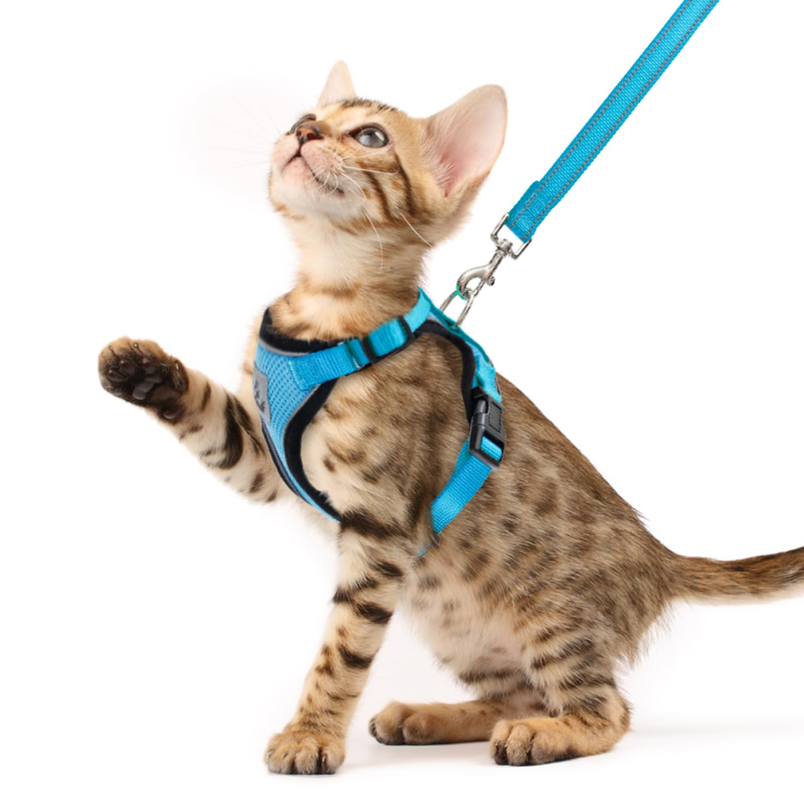 PUPTECK Cat Harness and Leash Set Escape Proof Reflective Cat Walking Harness Adjustable Soft Breathable Mesh Vest for Small Pets, Blue, XS
