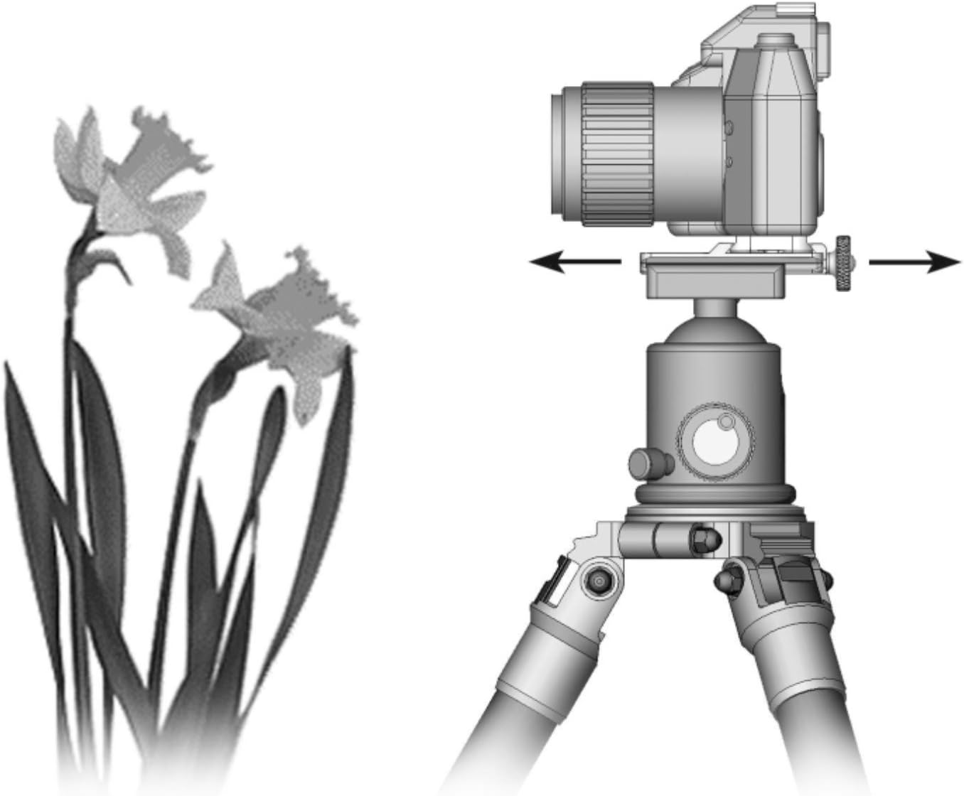 WIMBERLEY M-8 Perpendicular Plate Flash Bracket Module - Arca-Swiss Style - Made in USA