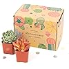 Product Photo 4
