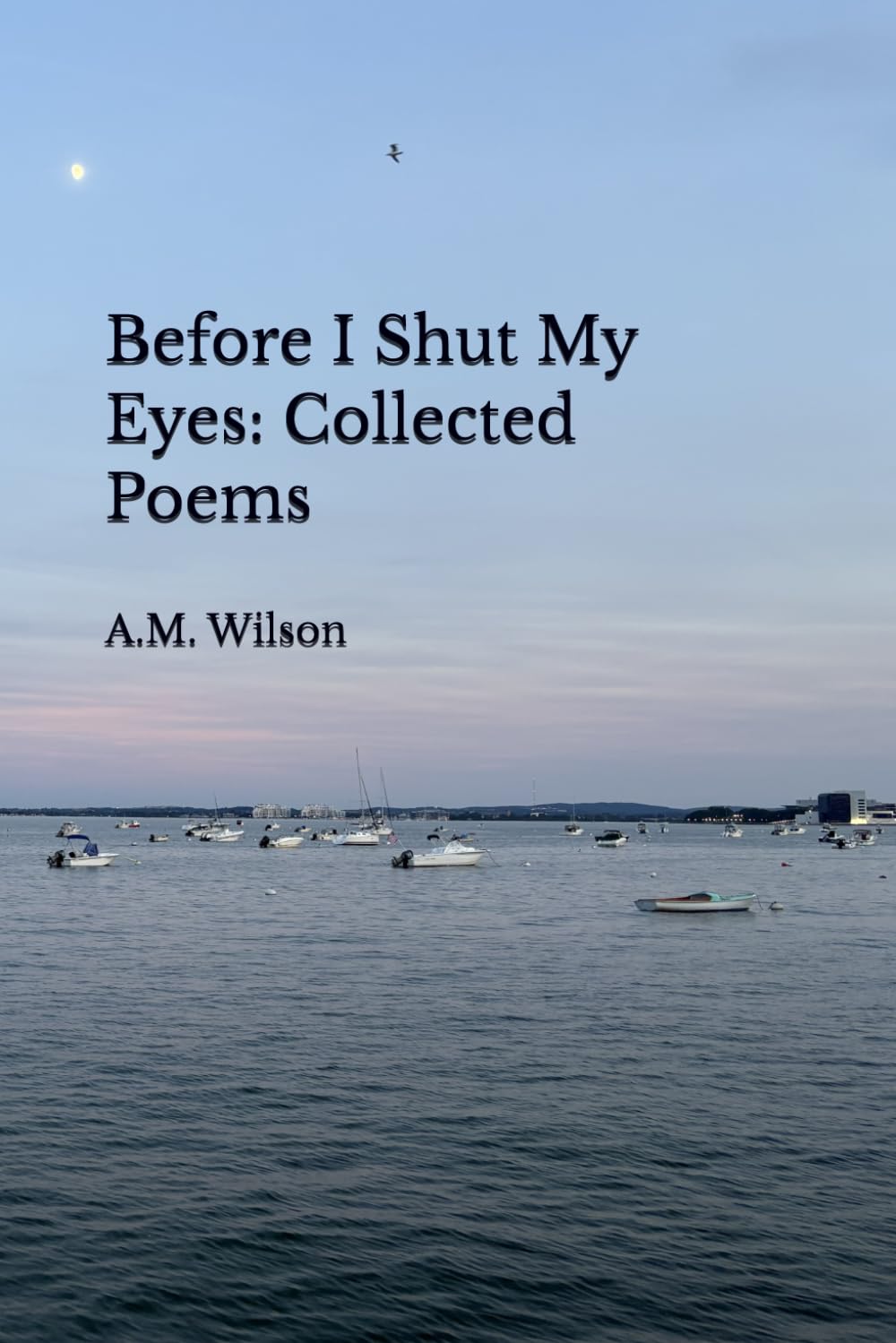 Before I Shut My Eyes: Collected Poems