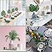 Giftown 24 Pcs 2 Kinds Artificial Palm Leaves with Stems Tropical Faux Leaves Safari Leaves Hawaiian Luau Party Suppliers Decorations Tiki,Aloha Jungle Beach Birthday Leave Table Decorations