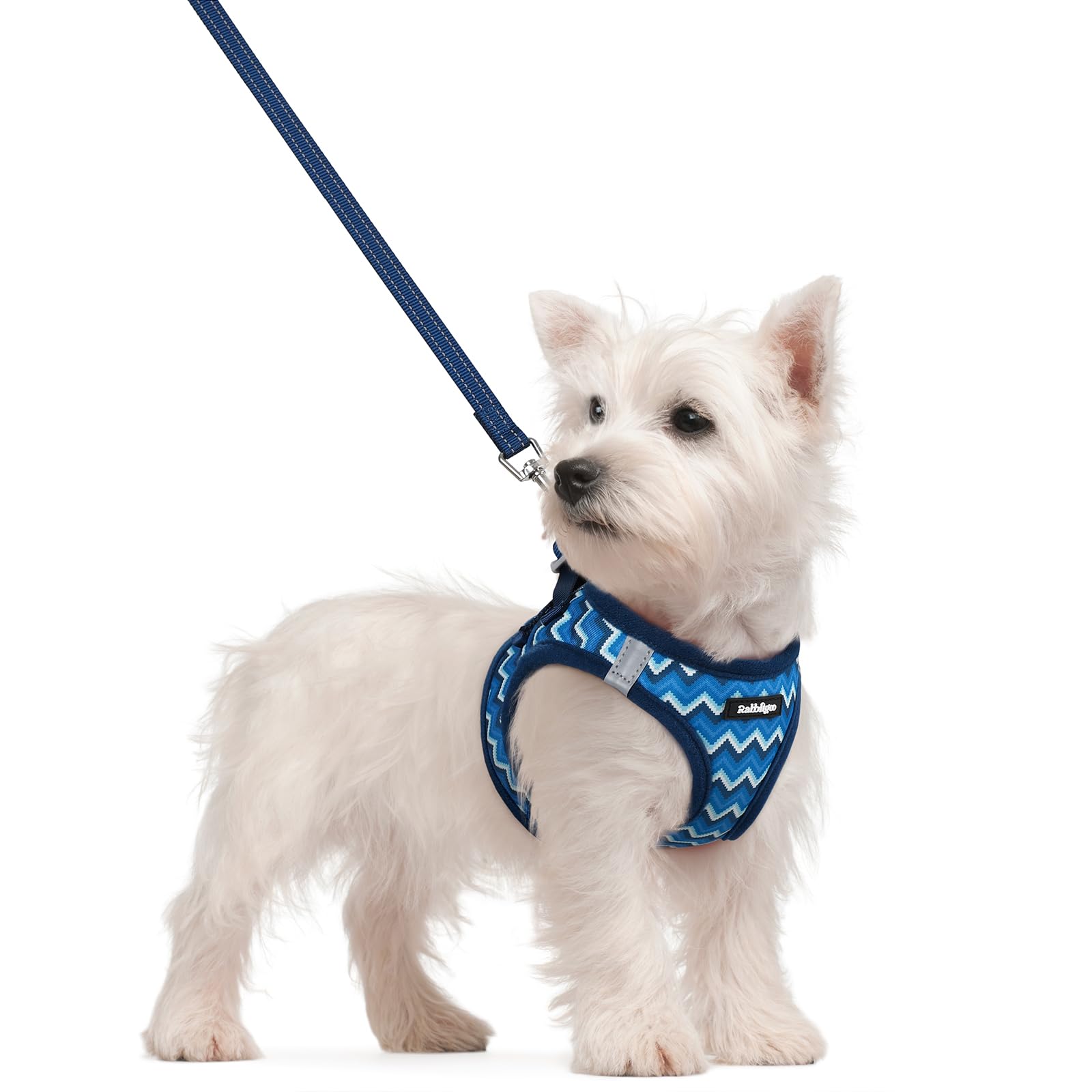 rabbitgoo Dog Harness Small Dog and Leash Set, Step-in Soft Mesh Puppy Harness with Reflective Strips, Lightweight Breathable Pet Vest for Walking Training, Blue Zigzag, S