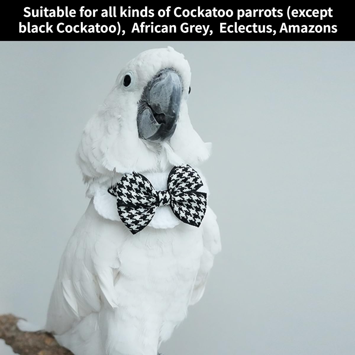 Bird Collar, Bird Clothes, Parrot Bird Supplies, Cute Collar for Medium and Large Birds Eclectus Cockatoo African Grey Amazon Bow Tie Scarf Super Cute Costume Photo Prop for Parrots (Black Bow)