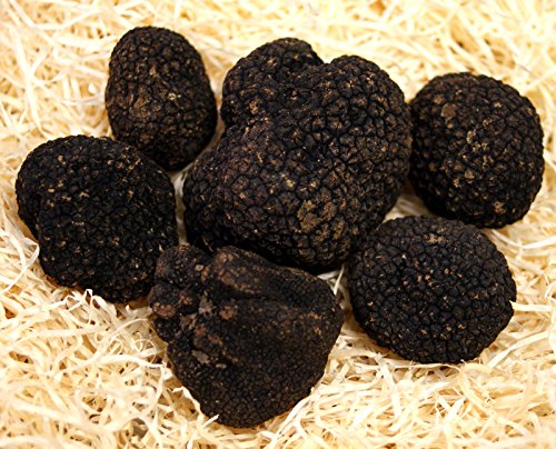 50 Gram Trufas negras italianas frescas (Tuber Aestivum VIT). El envío incluye: