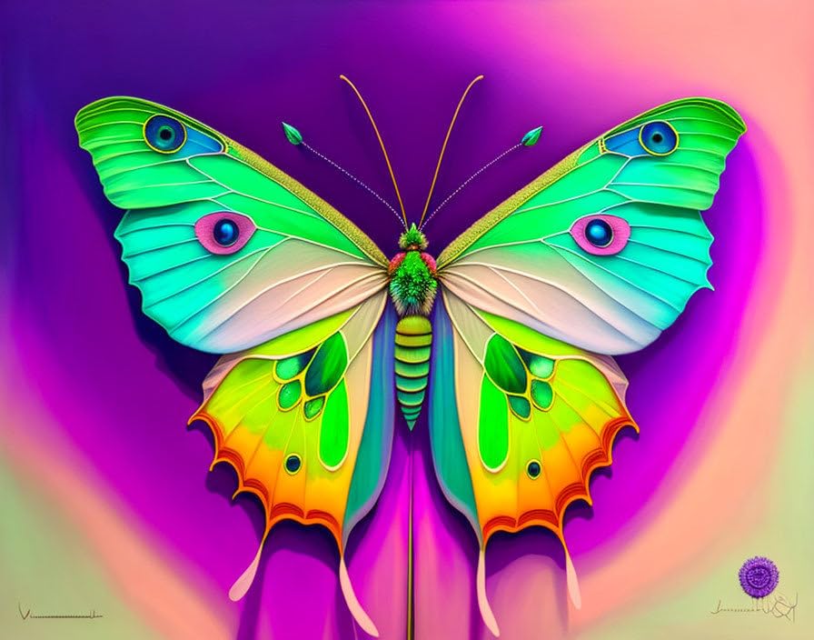 Poster Fantasy Butterflies GerRit 58x90cm pour creer un salon poetique et chaleureux