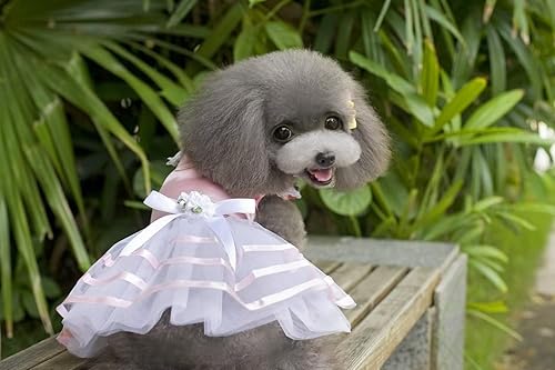 Miniatura 6 de Clopon Vestidos para cachorros para niñas pequeñas, faldas de chihuahua yorkies, ropa de bulldog para gatos, talla M