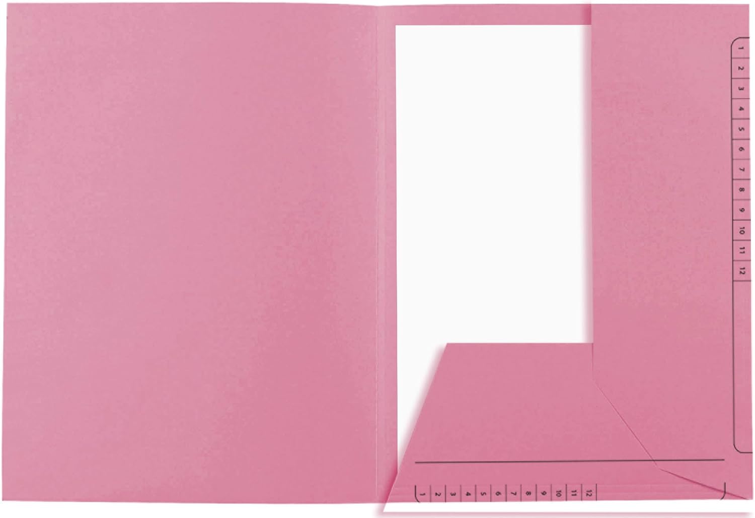 Exacompta - Ref. 334003E - Super 210 Printed 2 Flap Folders, A4 - Pink, Pack of 25