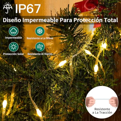 Arboles Decorativos, Lawn & Patio Imagen adicional
