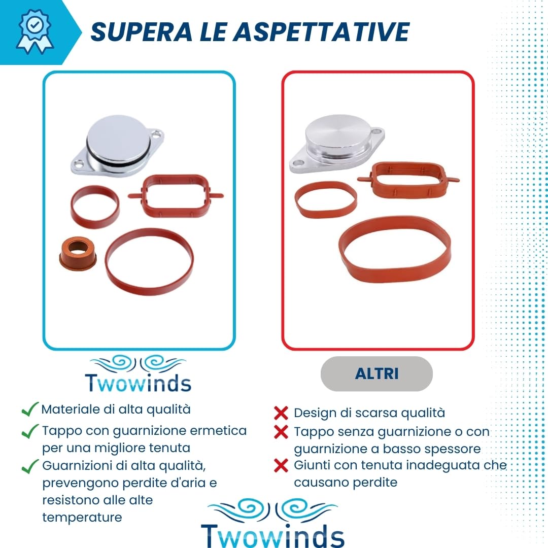 Twowinds - Kit Annullare Farfalle Collettore Aspirazione (22mm) Compatibile con BMW E38 E87 E46 E90 E91 E92 E93 E39 E61 E63 E64 E65 E67 E83 E53 E71 E72 - Rimozione Swirl Flap (6 tappi, 20 Guarnizioni)