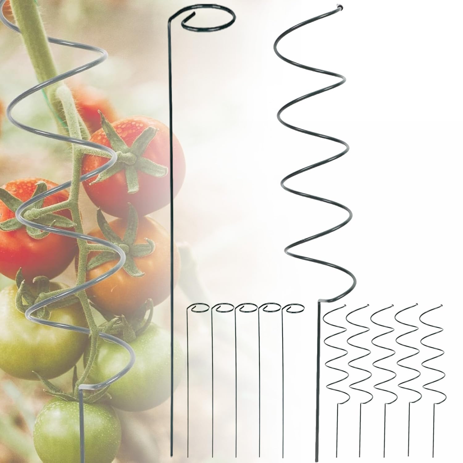 Tutori a spirale per pomodori, nuovi tutori a spirale per pomodori 2025, tutori a spirale in metallo per pomodori per piante in vaso, rampicanti a rosa (A+B 10pcs)