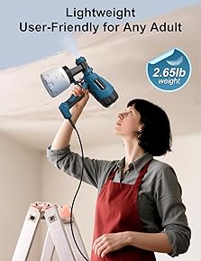 What Is the Best Spray Gun for Painting Cars 29 616M5ZDs9JL. AC SL289