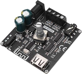 Digital Power Amplifier Board, 2 X 100W Stereo Amplifier Board Dual Channels APP Control for Home Theater