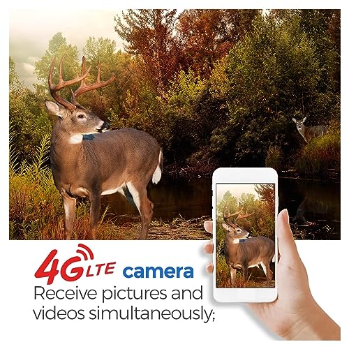 MZZYG Wildlife Camera 940nm Black IR Night Vision 4G Wireless Hunting Trail Camera Color LCD Invisible Game Cameras - Image 3