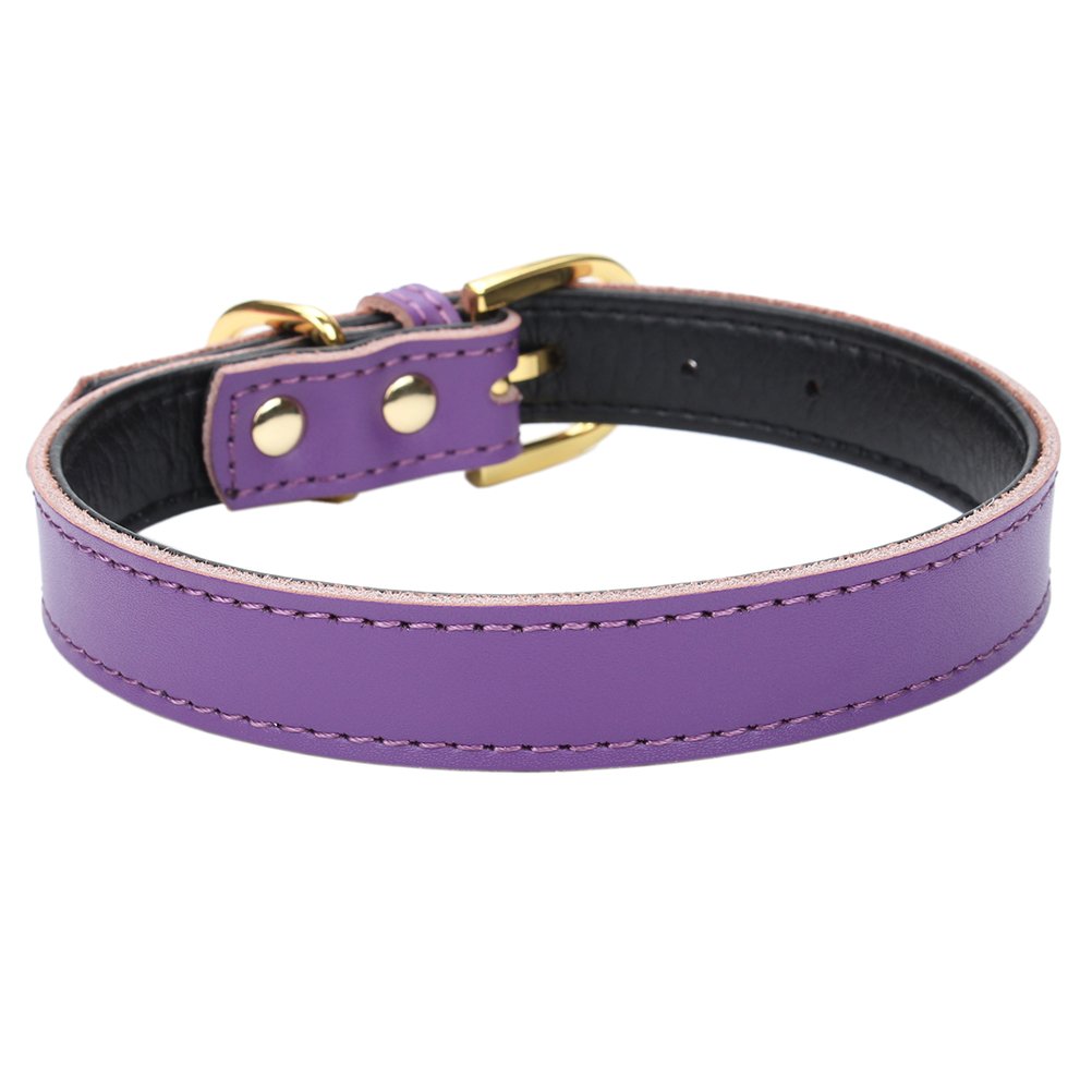 Aolove Basic Classic Padded Leather Pet Collars for Cats Puppy Small Medium Dogs (17inch-22inch Neck * 1.2inch Wide Purple)　並行輸入品 Aolove Basic Classic Padded Leather Pet Collars For Cats Puppy