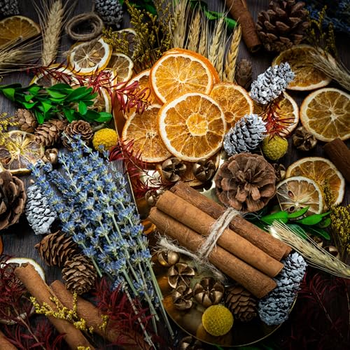 DIY Dried Flowers Kit with Lavender Pinecone Scented Orange Slices Lemon Slices Cinnamon Sticks for Home Decor Aroma Diffuser Christmas Decoration DIY Crafts Holiday Decor