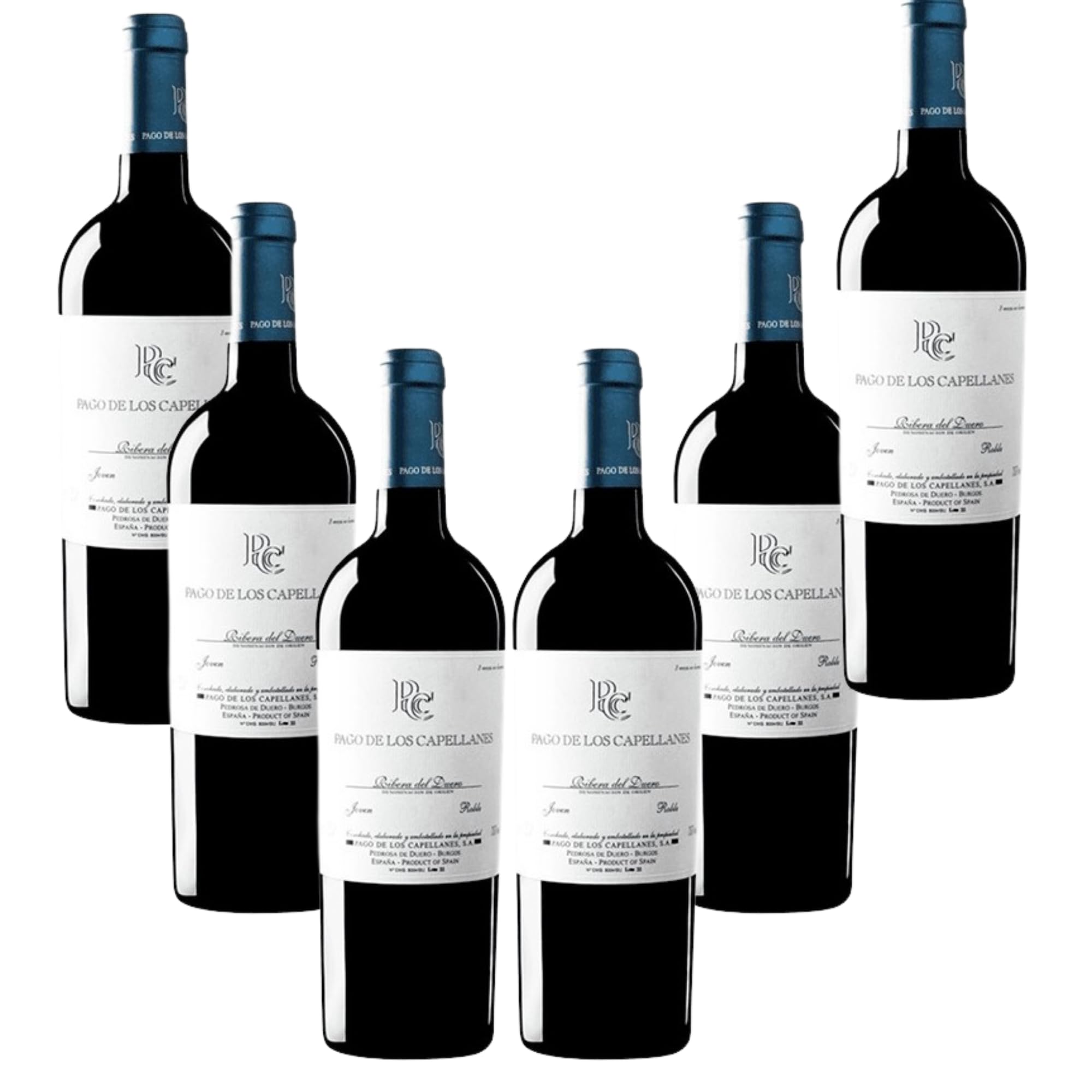 Pago de los Capellanes Roble – Vino Tinto - Nueva Añada 2024 | 75 cl | D.O. Ribera del Duero | Crianza en barrica | Equilibrado y afrutado - 6 Botellas 75cl