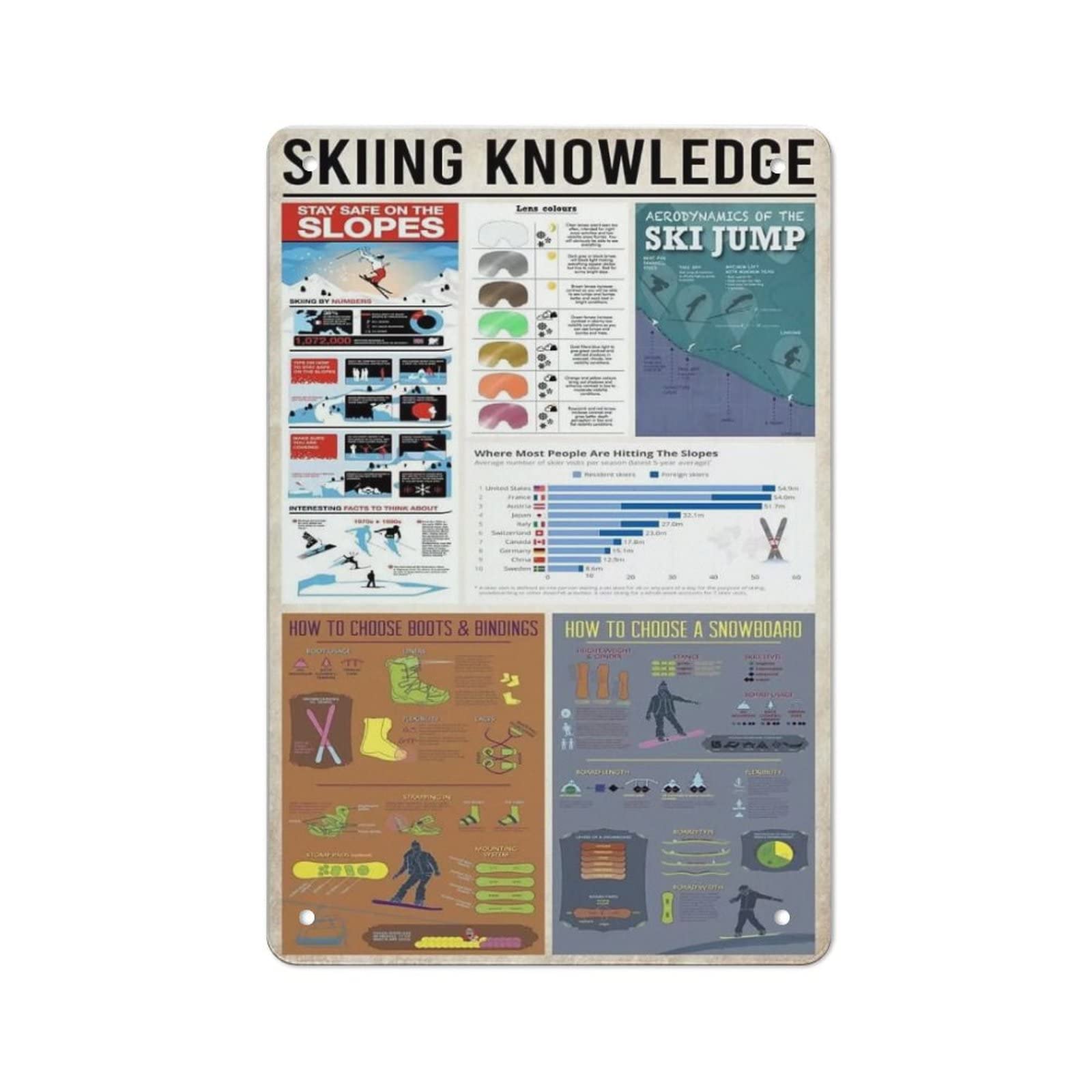 AOOEDM Skiing Knowledge Metal Tin Sign for Home Bar Pub Kitchen Wall Art Deocr Man Cave Vintage Metal Sign Poster Plaque Signs Quotes Sign