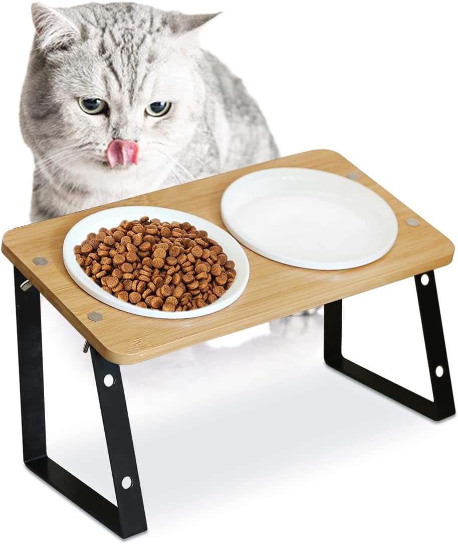 Raised Cat Dog Food Bowl with Stand, Tilted Pet Water Bowl Elevated