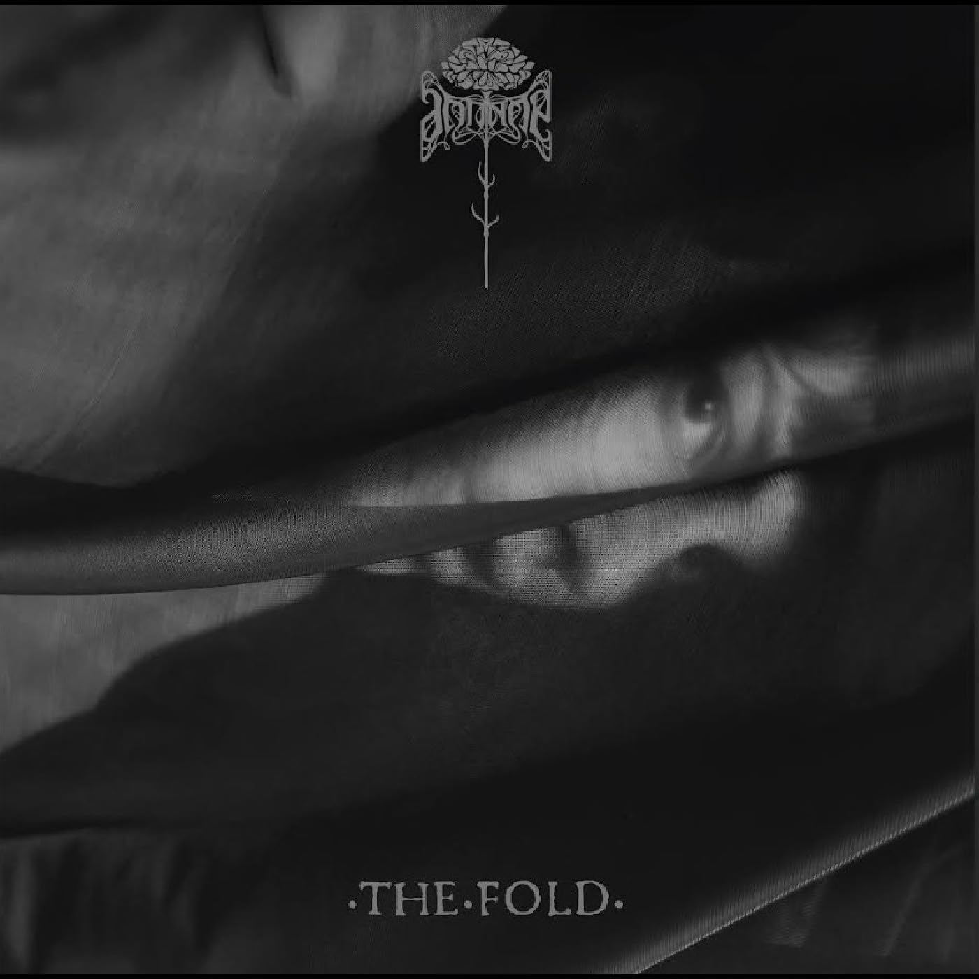 THE FOLD [VINYL]