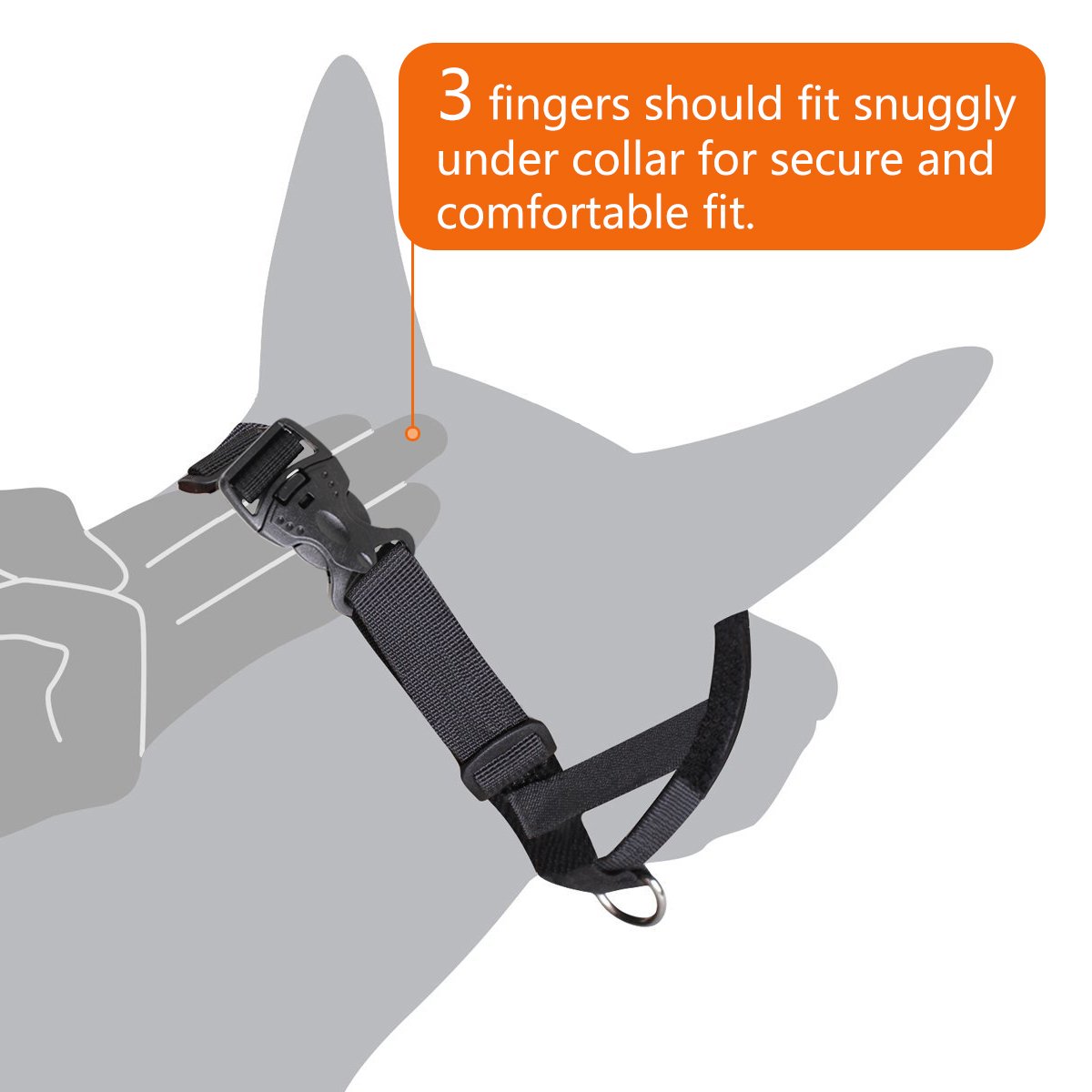 dog muzzle to stop pulling