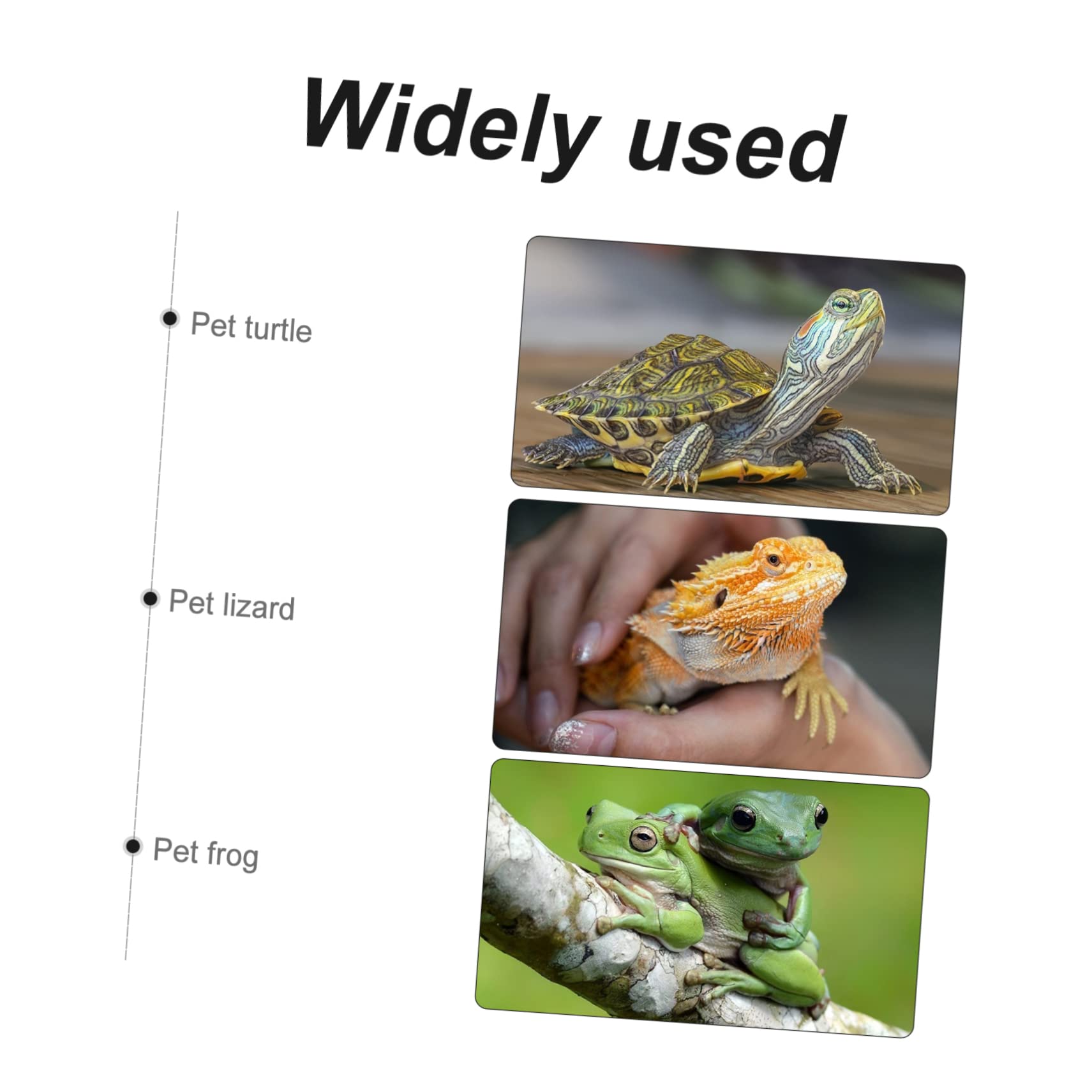 Hohopeti 8stücke Reptilien Teppich Absorbierendes Substrat Für Terrarium Geeignet Für Geckos Schildkröten Und Andere Reptilien Und rutschfest Und Pflegeleicht