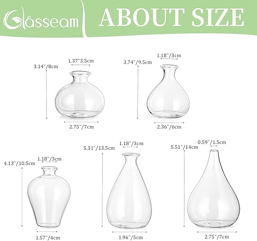 Miniatura 5 de Glasseam Jarrones de cristal transparente para centros de mesa, juego de 5 jarrones de flores hechos a mano para decoración, pequeños jarrones