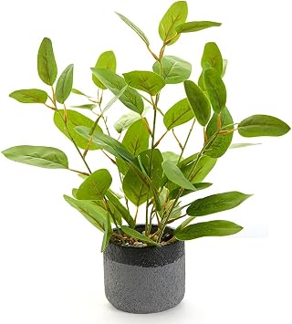 Fake Ficus Plants 14.5 Inches Tall Artificial Ficus Indoor Plants with Green Lifelike Leaves in Black Gray Pot for Home House Outdoor Decor Porch Pots Planter Decorations