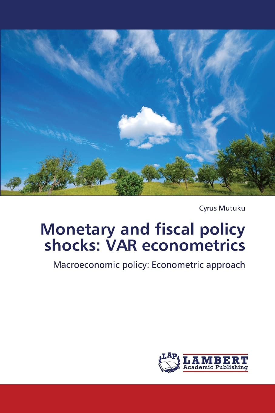 Monetary and fiscal policy shocks: VAR econometrics: Macroeconomic policy: Econometric approach