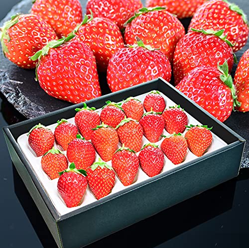 いちご ギフト 高級の人気商品 通販 価格比較 価格 Com