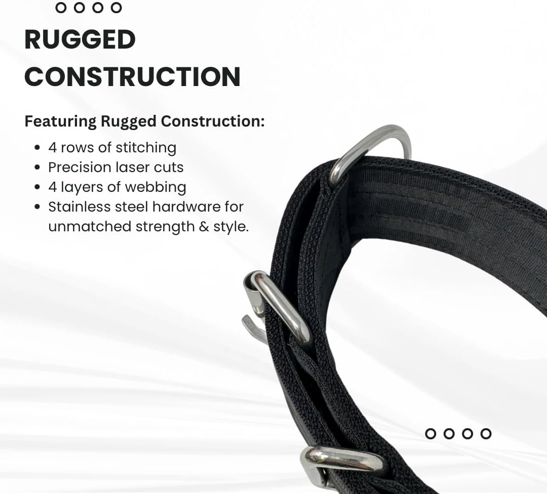 SparkDog 2” Working Dog Collar – Heavy Duty 4-Ply Nylon & Polyester Webbing, Stainless Steel Hardware, Tactical Style for Pitbulls, Medium & Large Dogs (14-20" (Black, 2" Width)