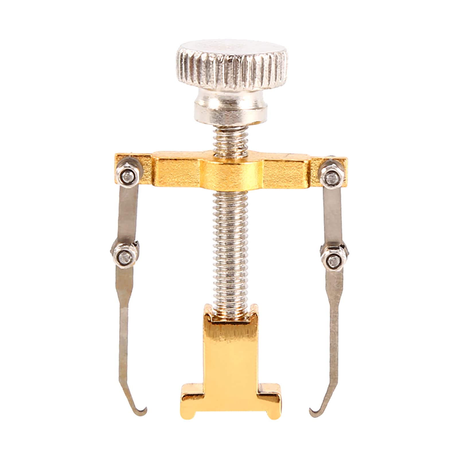 Saluaqui Ingrown Toenail Fixer, Professional Manicure Pedicure Tool with Lever Mechanics for Nail Growth Correction