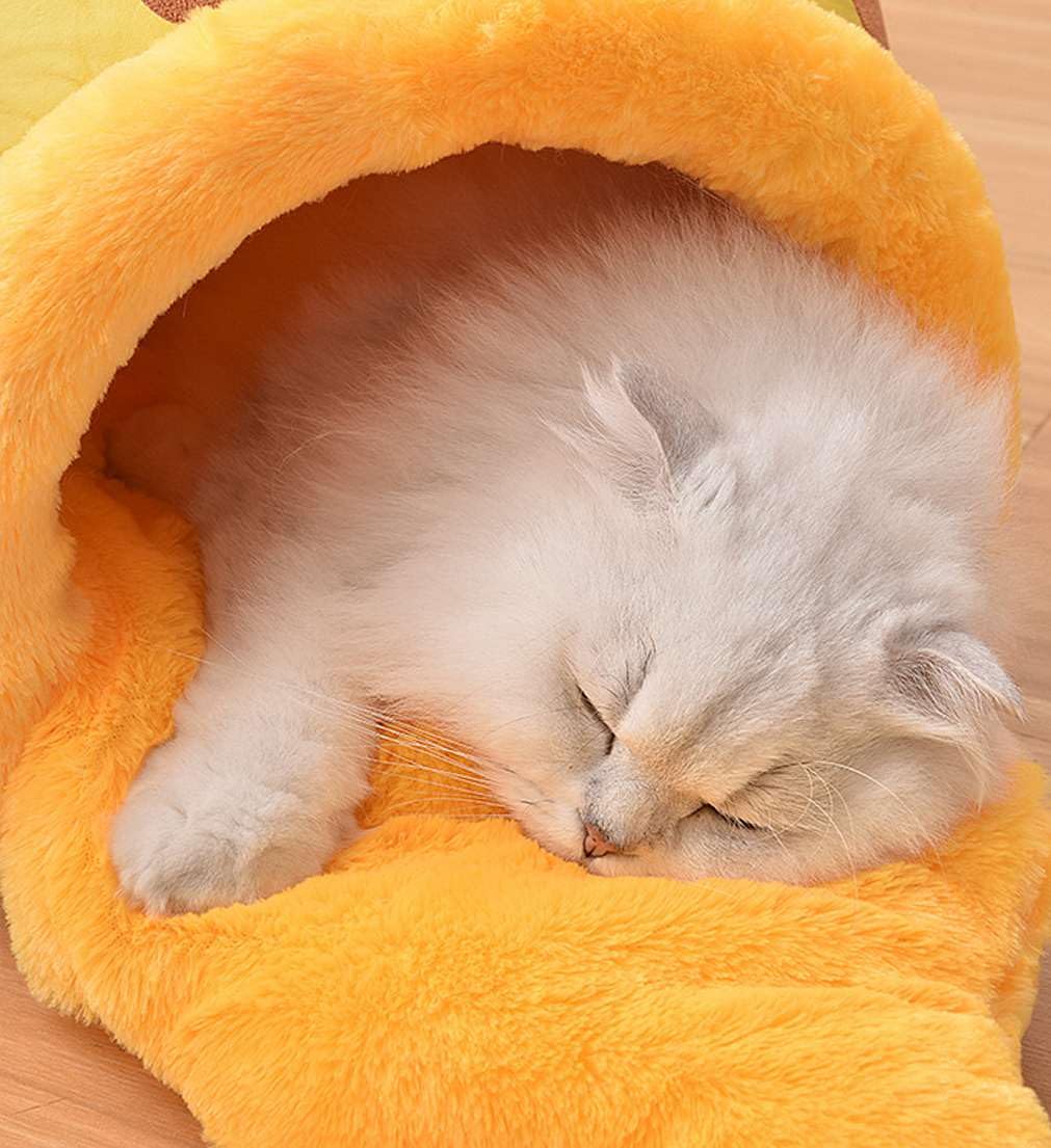 Amazon.co.jp: 秋冬、ペット蜂蜜瓶猫ベッド、くまのプーさんペット