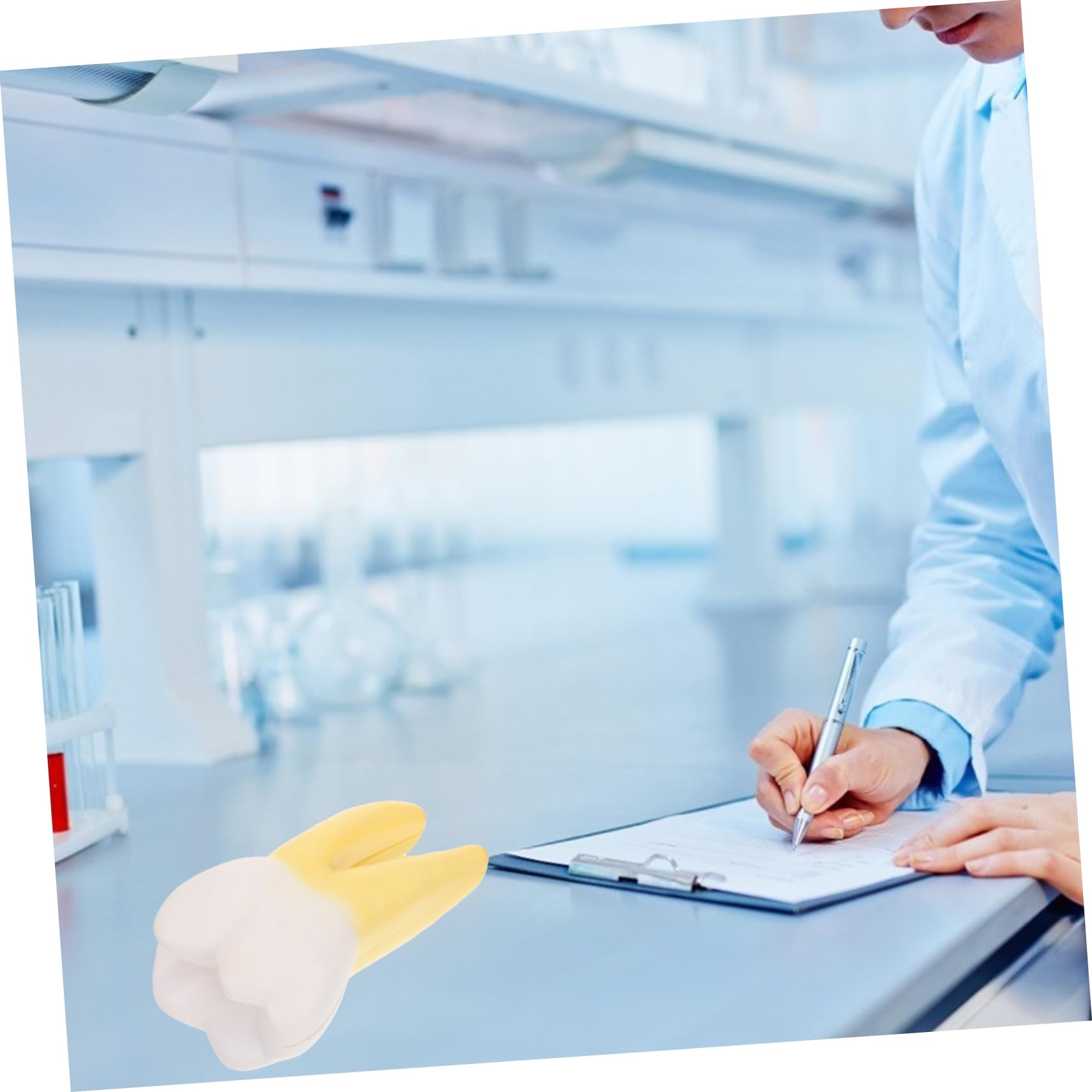 Modello Molare Anatomico in Pvc per Dimostrazione Dentale | Giallo, Leggero, Realistico, per Cliniche Odontoiatriche e Insegnamento