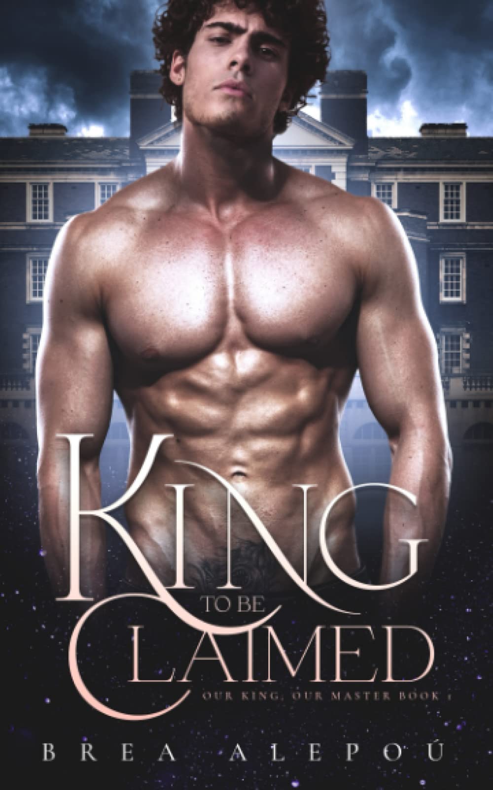 A King to be Claimed: Gay Harem: 1 (Our king, Our Master)
