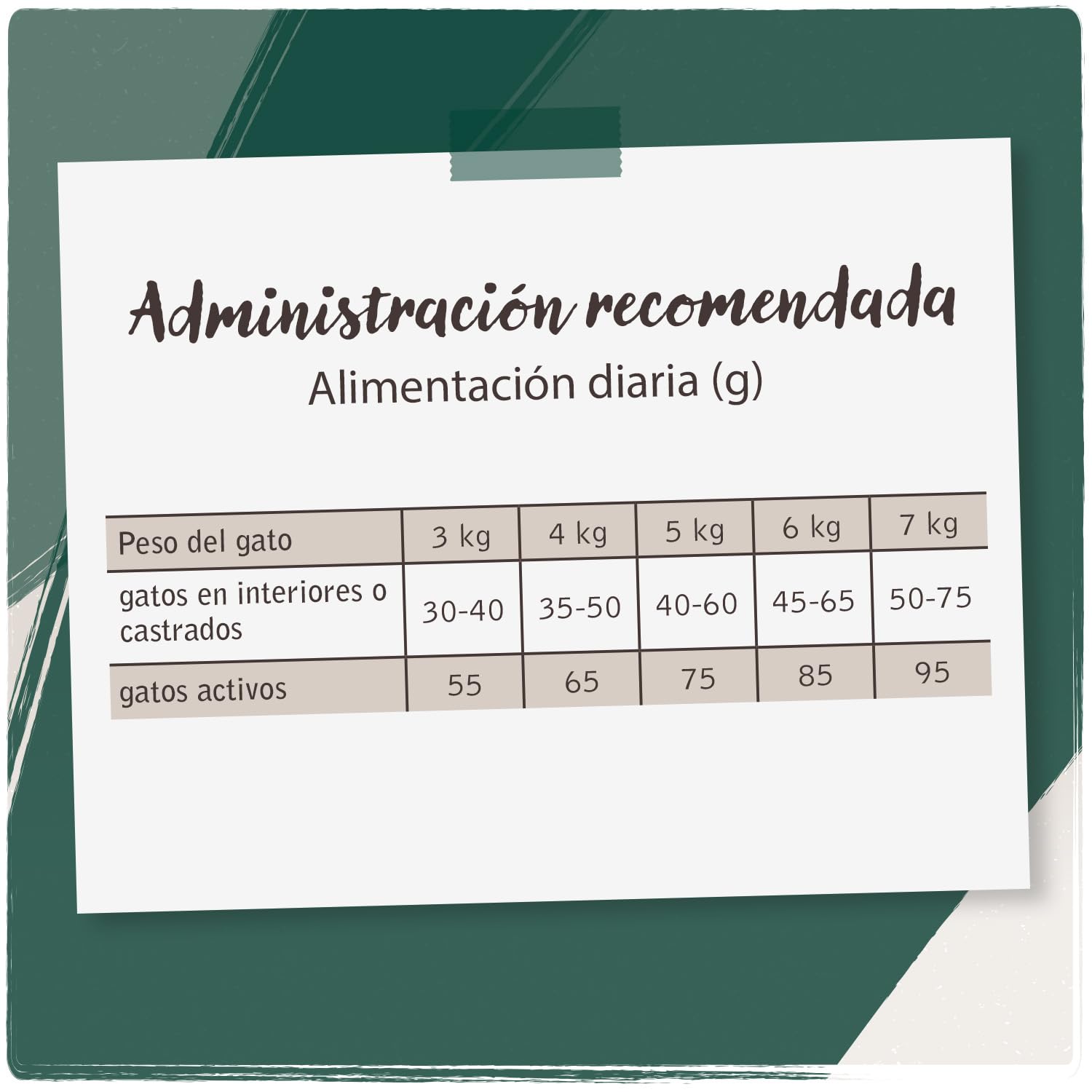 VenandiAnimal Comida de calidad para gatos - salmón, con pescado fresco, comida seca, sin cereales, 1 paquete (1 x 1,5 kg)