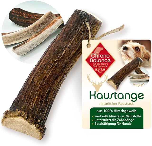 ChronoBalance® Poroże dla psów: L zabawka do żucia do pielęgnacji zębów, w 100% z poroża jelenia: zabawka dla psa do higieny jamy ustnej, naturalnie bezpieczna i wytrzymała